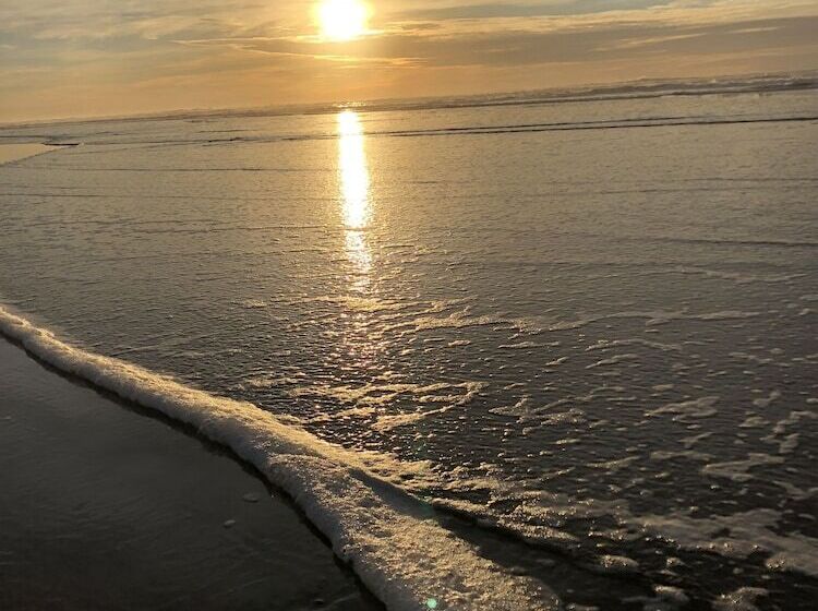 Мотель The Whaler Newport