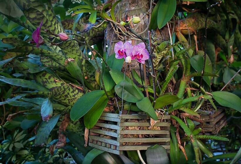 Vanderbilt Beach Resort