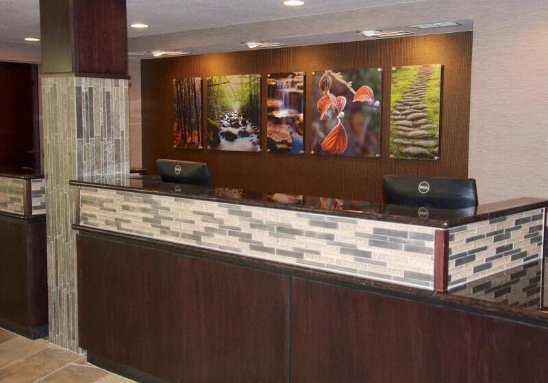 리조트 Branson Hillside