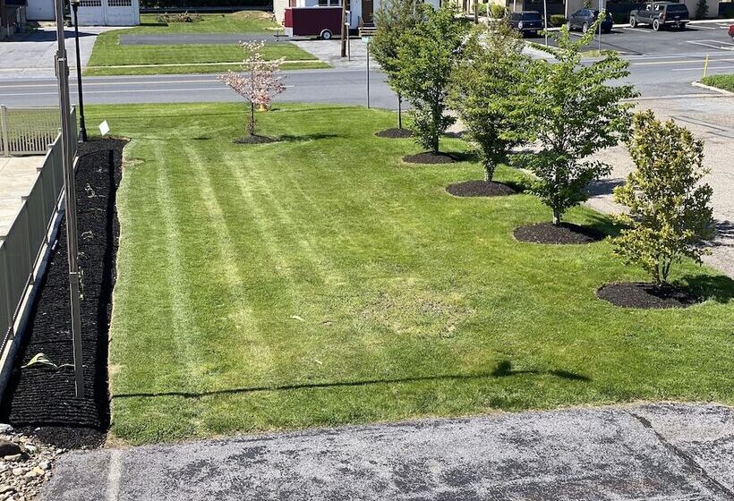 White Rose Motel Hershey