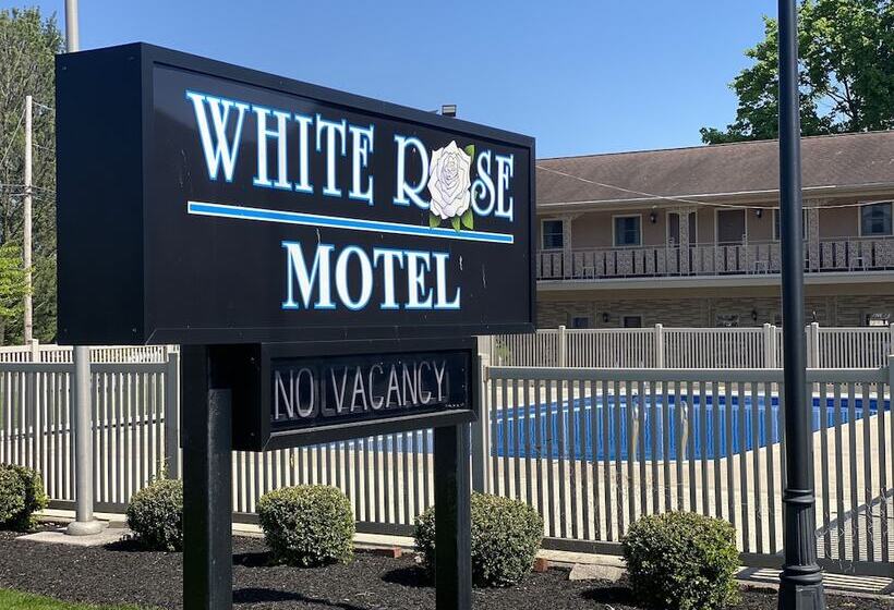 White Rose Motel Hershey