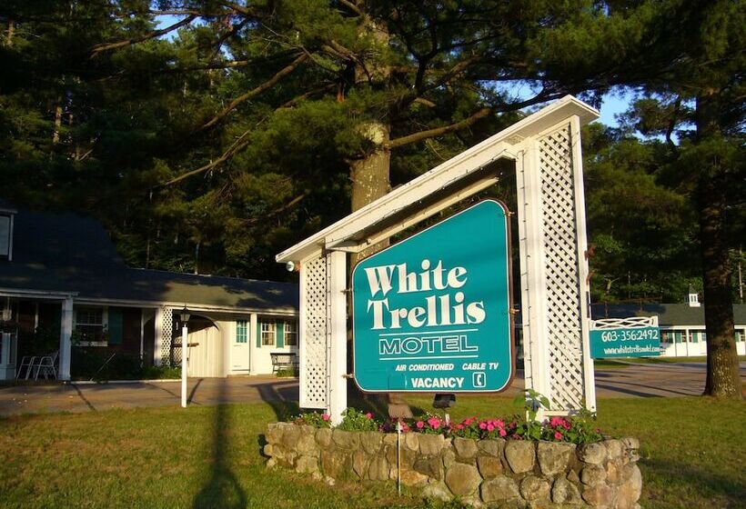 White Trellis Motel