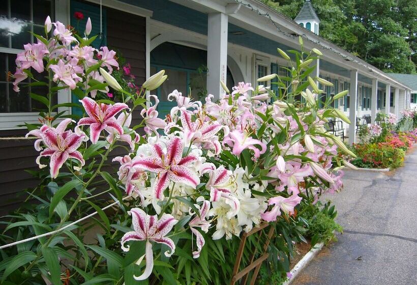 White Trellis Motel