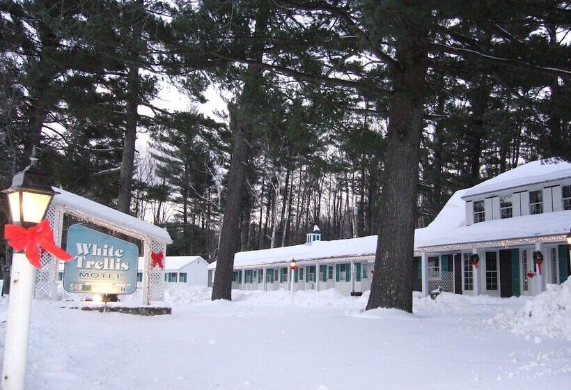 White Trellis Motel
