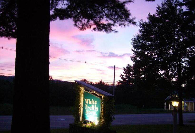 White Trellis Motel
