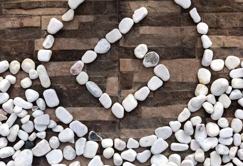 Departamentos Bonsai