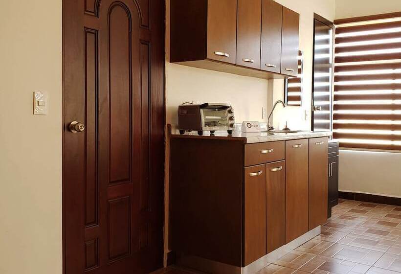 Departamentos Bonsai