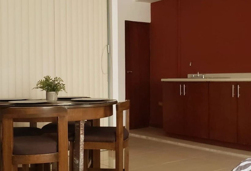 Departamentos Bonsai