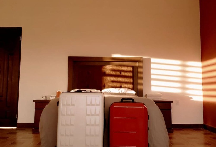 Departamentos Bonsai