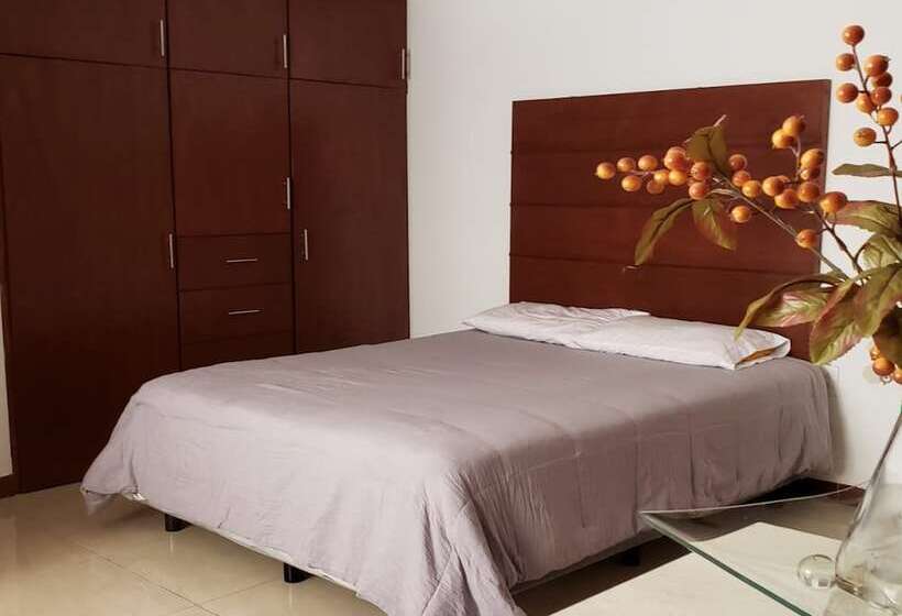 Departamentos Bonsai