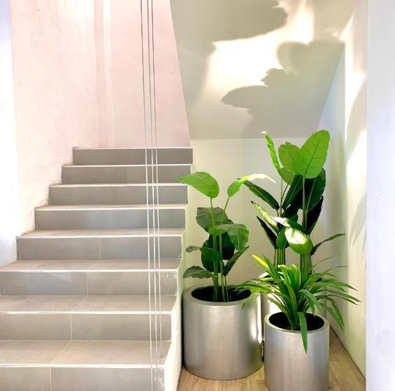 فندق Blanco Pachuca