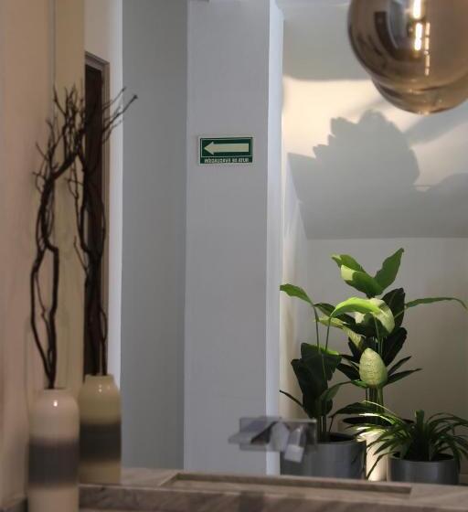 Отель Blanco Pachuca