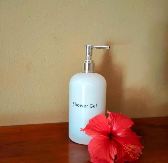 ホテル Eden Rock Zanzibar