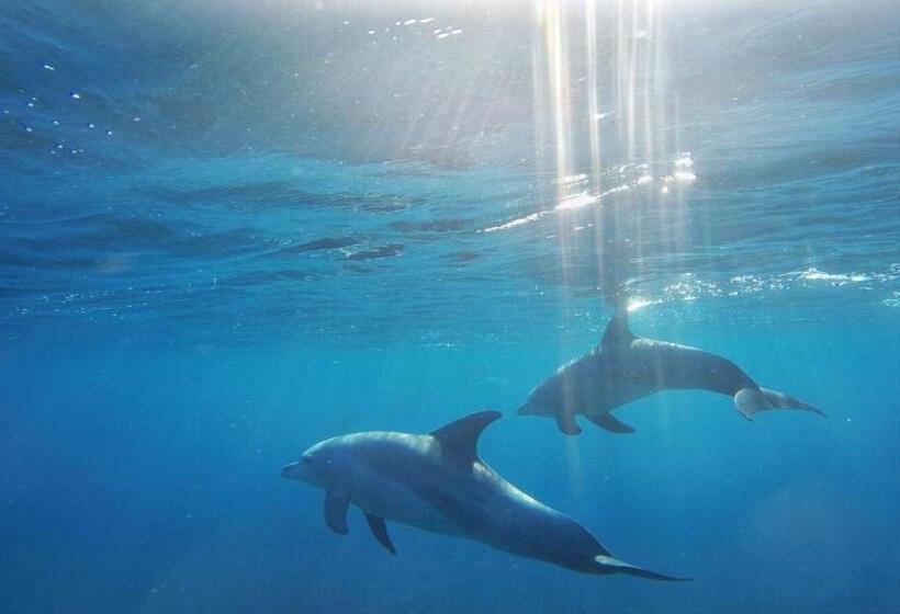 فندق Eden Rock Zanzibar