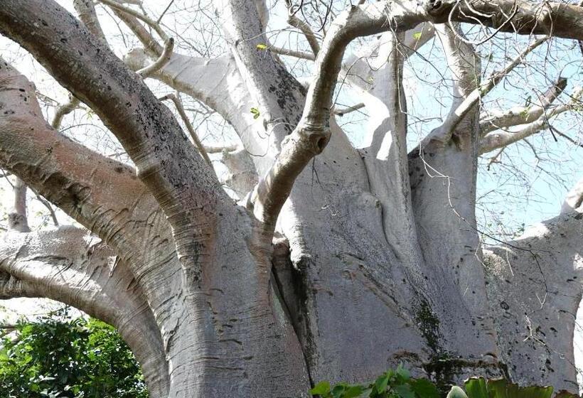 ホテル Eden Rock Zanzibar