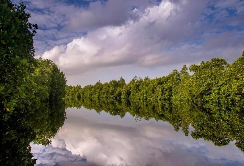 ホテル Eden Rock Zanzibar