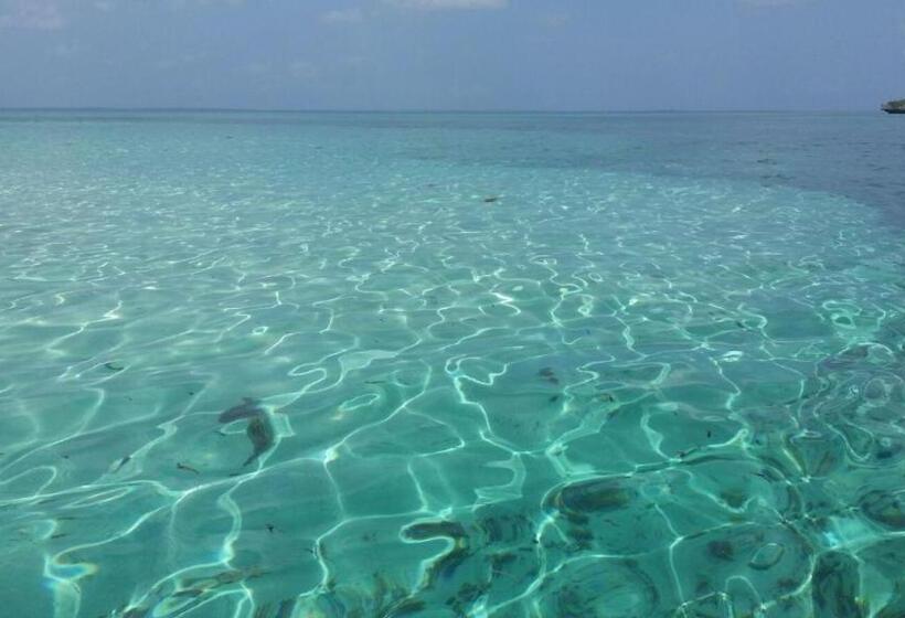 ホテル Eden Rock Zanzibar