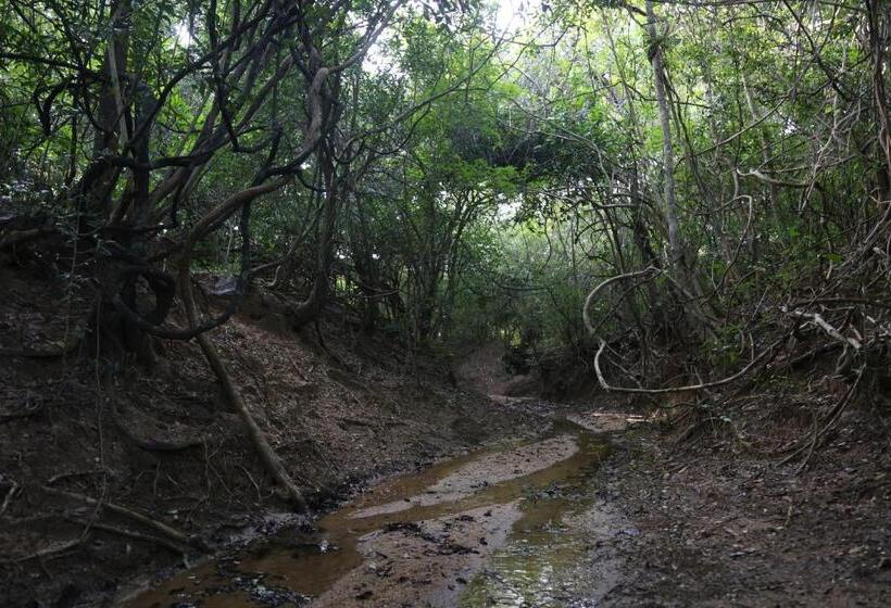 Отель Sky Forest