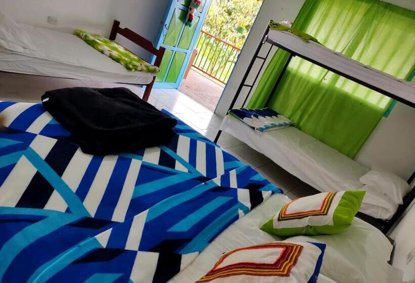 بنسيون H Shaddai