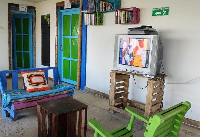 بنسيون H Shaddai