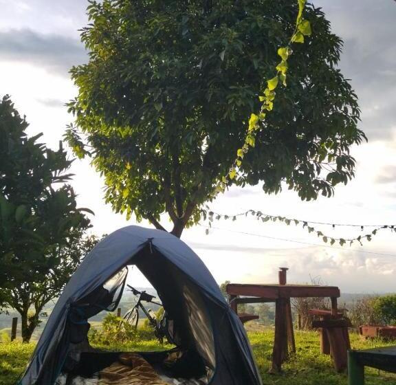 بنسيون H Shaddai