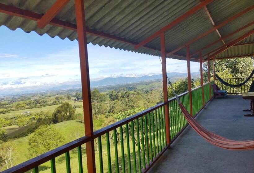 بنسيون H Shaddai