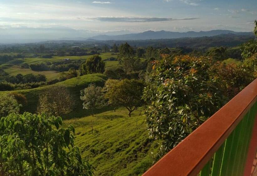 بنسيون H Shaddai