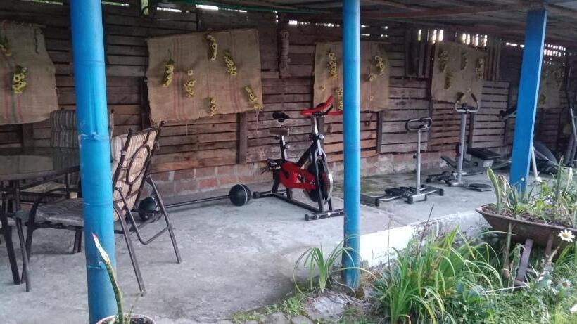 بنسيون H Shaddai