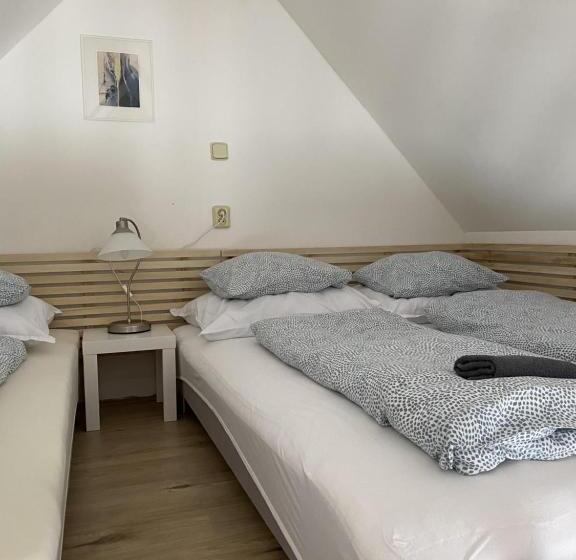 ペンション Penzion Stanice Lyžařů Fryšava