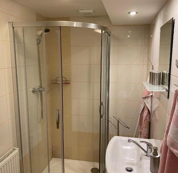 ペンション Penzion Stanice Lyžařů Fryšava