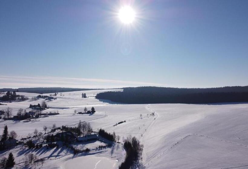 ペンション Penzion Stanice Lyžařů Fryšava