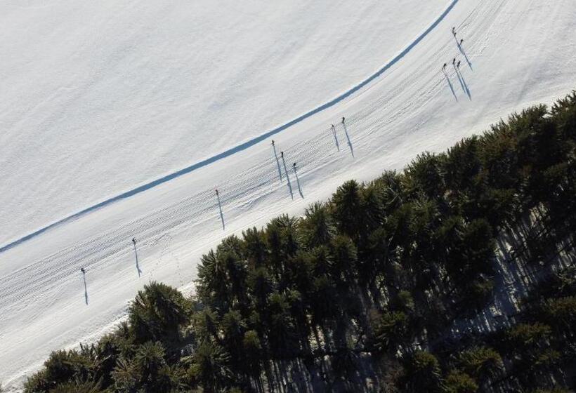 ペンション Penzion Stanice Lyžařů Fryšava