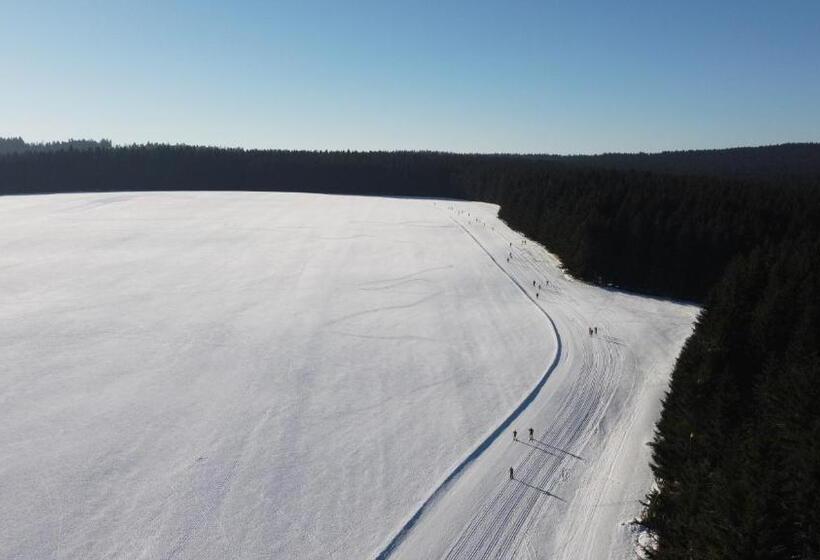 ペンション Penzion Stanice Lyžařů Fryšava