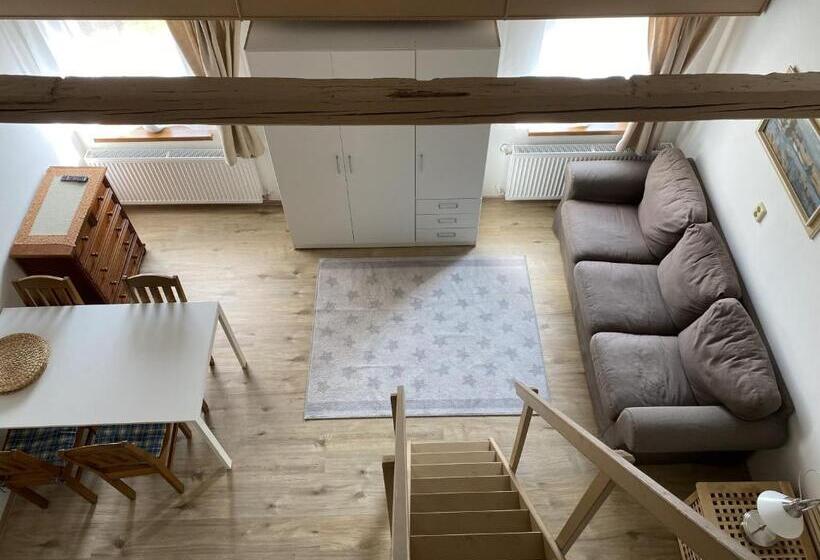 ペンション Penzion Stanice Lyžařů Fryšava