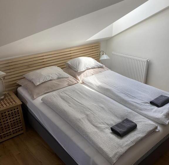 ペンション Penzion Stanice Lyžařů Fryšava