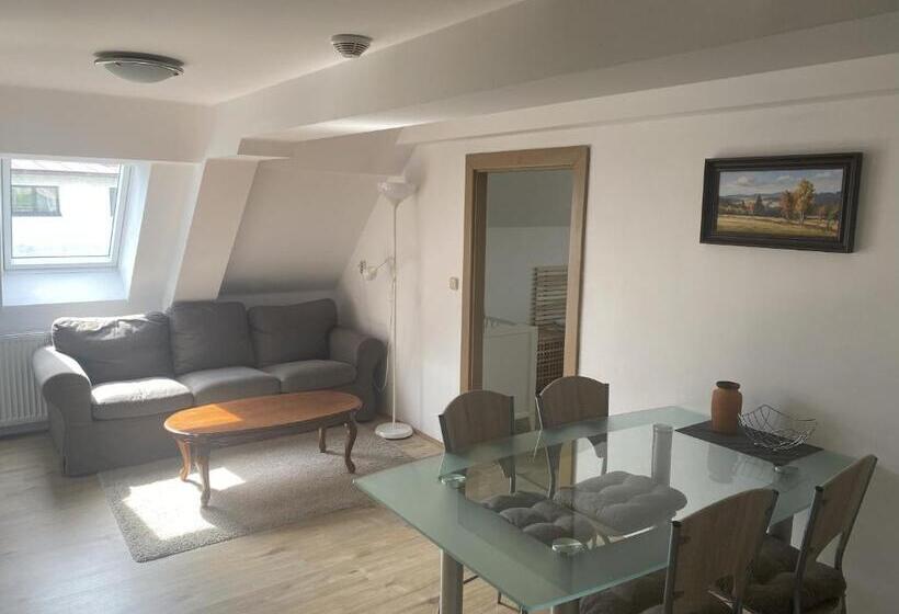 ペンション Penzion Stanice Lyžařů Fryšava