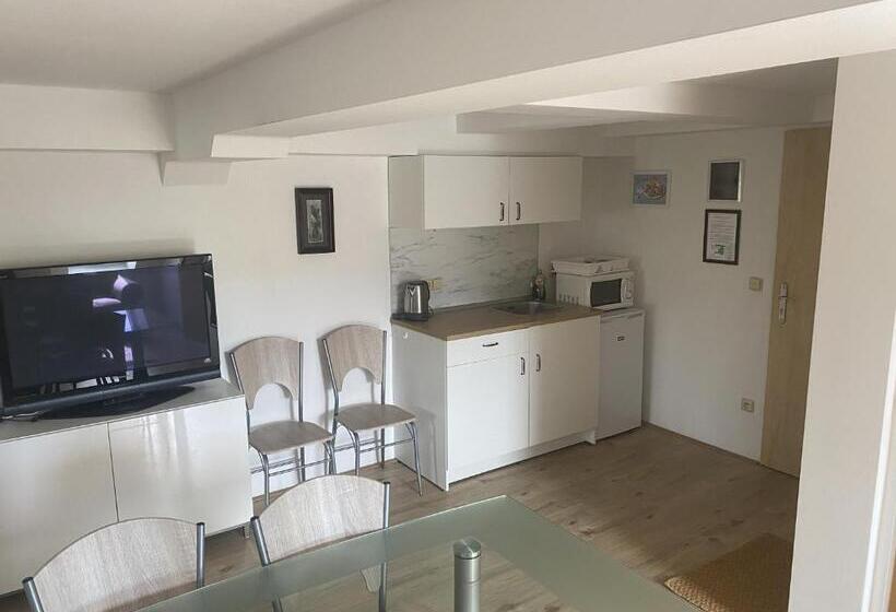 ペンション Penzion Stanice Lyžařů Fryšava