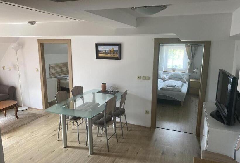 ペンション Penzion Stanice Lyžařů Fryšava