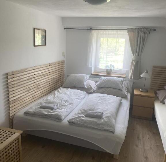 ペンション Penzion Stanice Lyžařů Fryšava