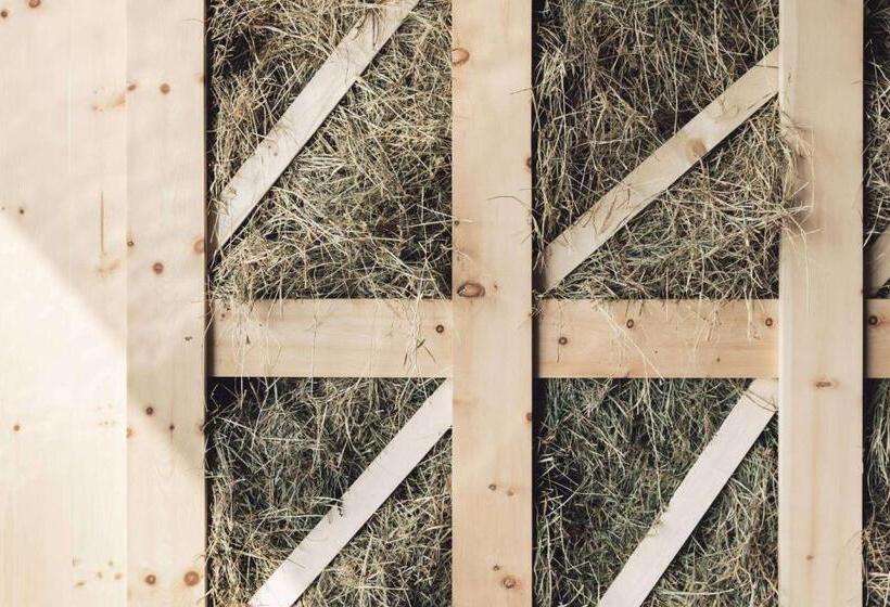 בית מלון כפרי Milla Montis