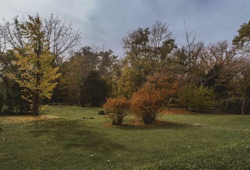 Отель Posada Mendoza By Dot Tradition