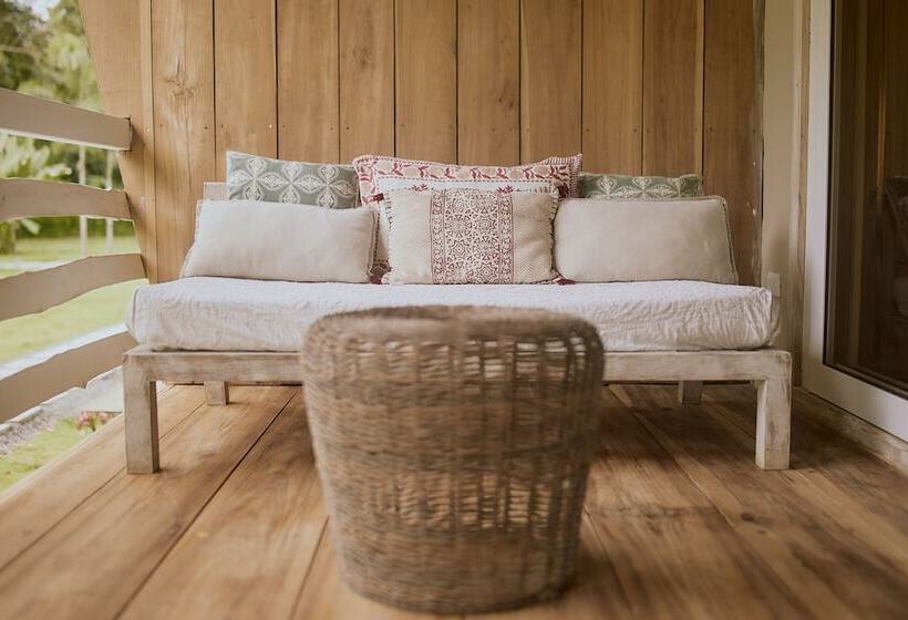 בית מלון כפרי Sonora Jungle & Yoga Retreat