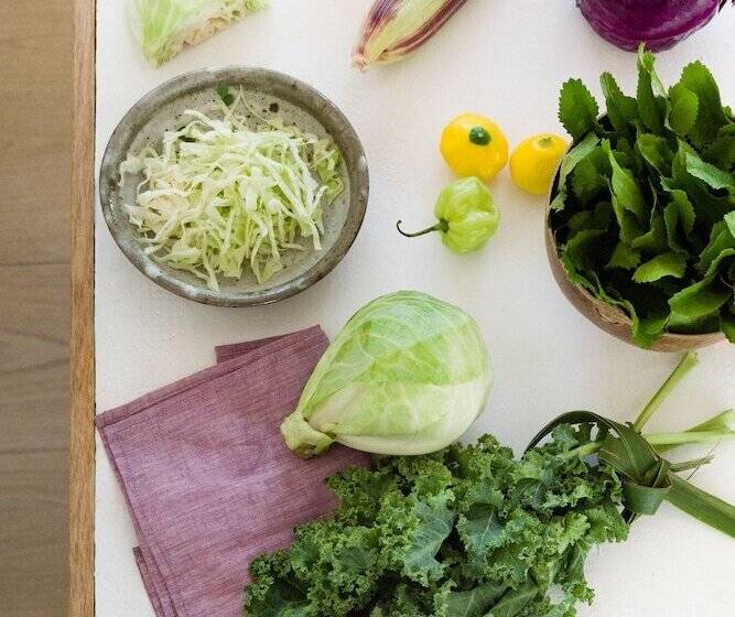 בית מלון כפרי Sonora Jungle & Yoga Retreat