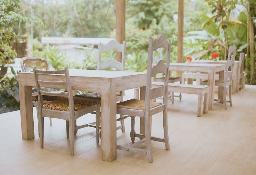 בית מלון כפרי Sonora Jungle & Yoga Retreat