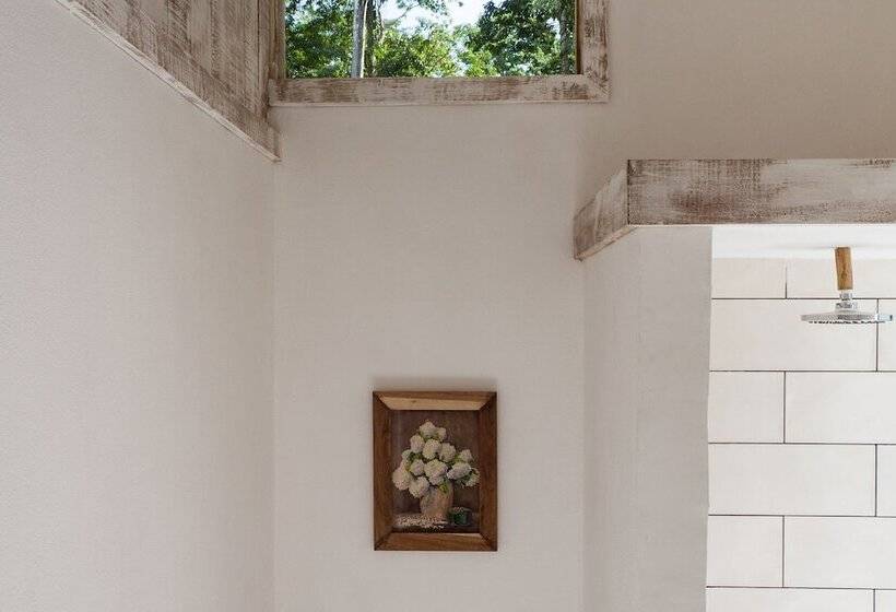 בית מלון כפרי Sonora Jungle & Yoga Retreat