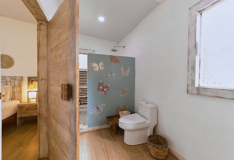 בית מלון כפרי Sonora Jungle & Yoga Retreat