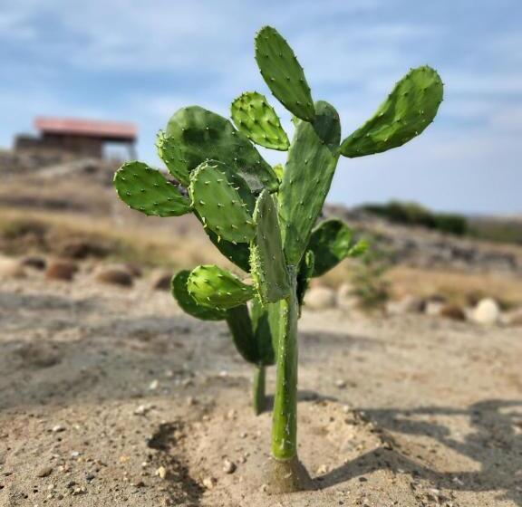 فندق Mana Star Lounge