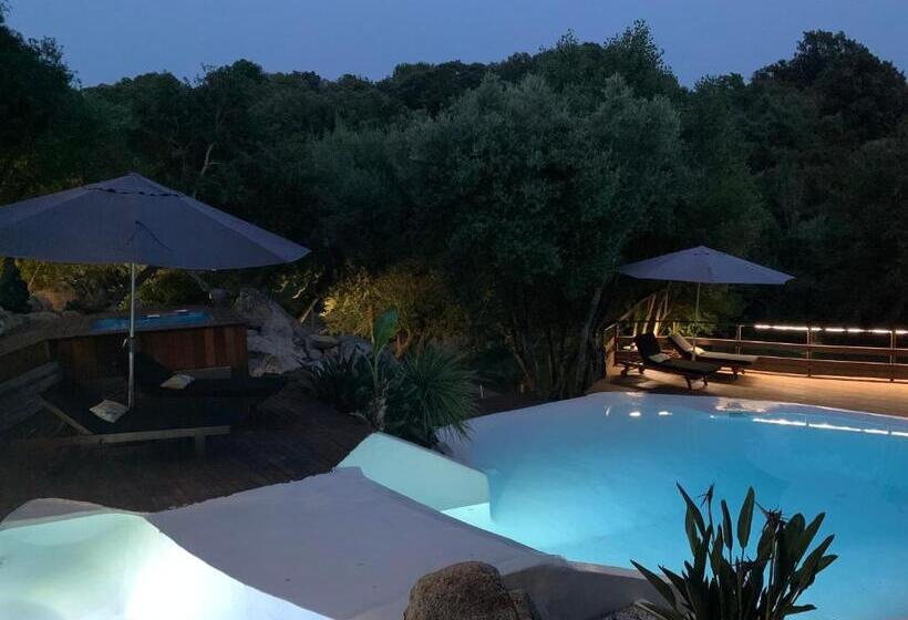 بنسيون Chambre D Hôtes A Vadina Porticcio