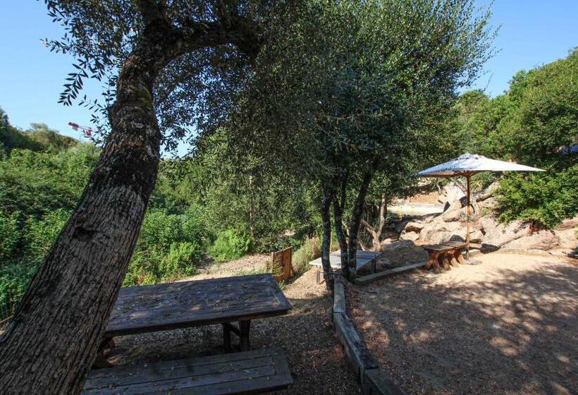 بنسيون Chambre D Hôtes A Vadina Porticcio