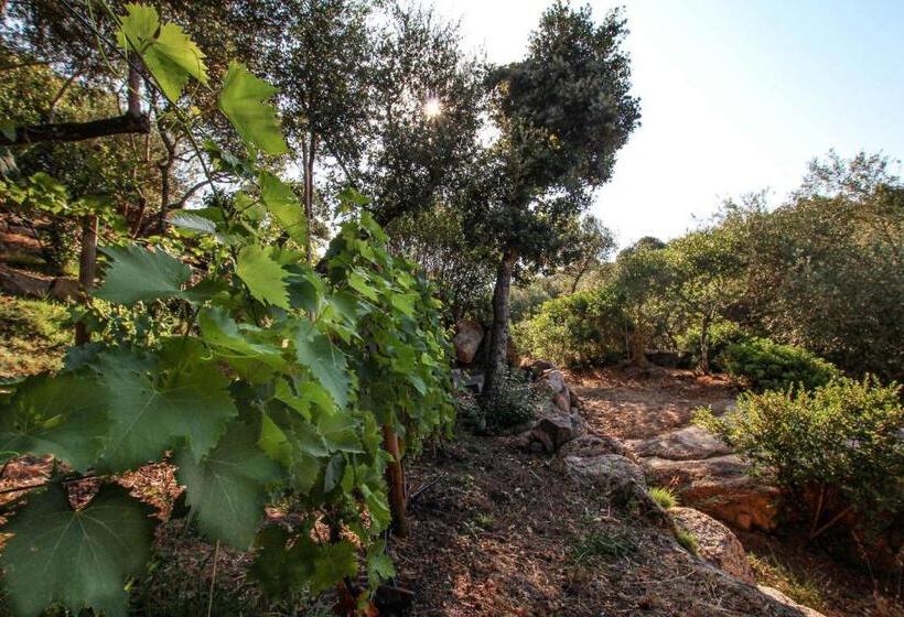 بنسيون Chambre D Hôtes A Vadina Porticcio